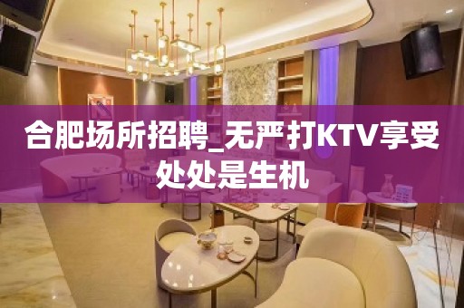 合肥场所招聘_无严打KTV享受处处是生机