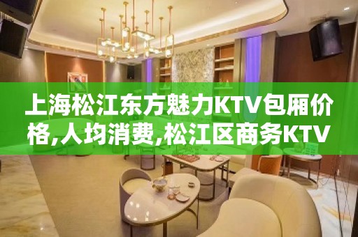 上海松江东方魅力KTV包厢价格,人均消费,松江区商务KTV会所