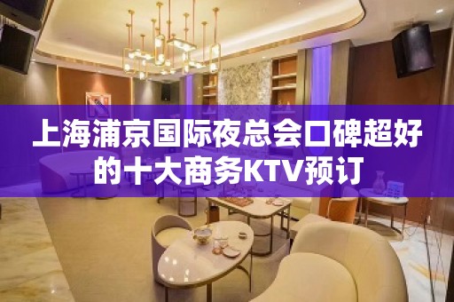 上海浦京国际夜总会口碑超好的十大商务KTV预订