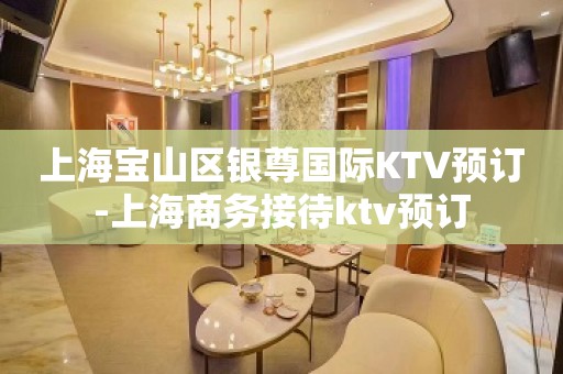 上海宝山区银尊国际KTV预订-上海商务接待ktv预订