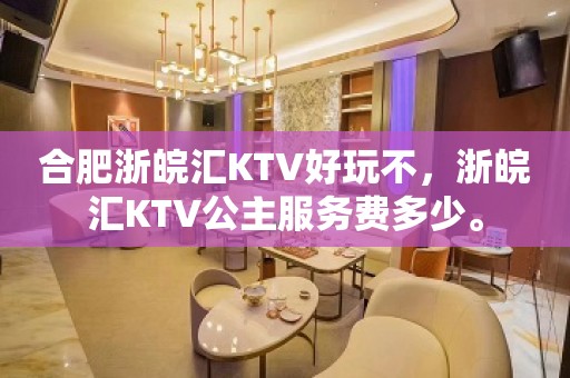 合肥浙皖汇KTV好玩不，浙皖汇KTV公主服务费多少。