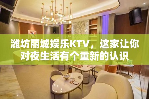 潍坊丽城娱乐KTV，这家让你对夜生活有个重新的认识