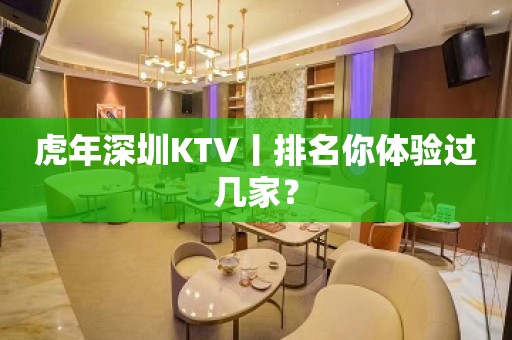 虎年深圳KTV丨排名你体验过几家？