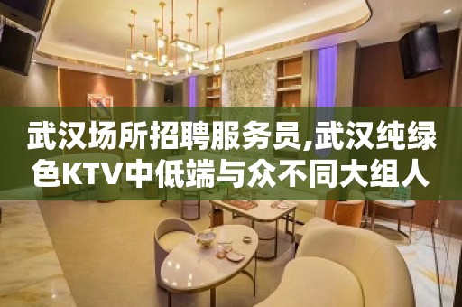 武汉场所招聘服务员,武汉纯绿色KTV中低端与众不同大组人多