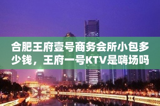 合肥王府壹号商务会所小包多少钱，王府一号KTV是嗨场吗？