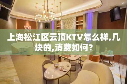 上海松江区云顶KTV怎么样,几块的,消费如何？