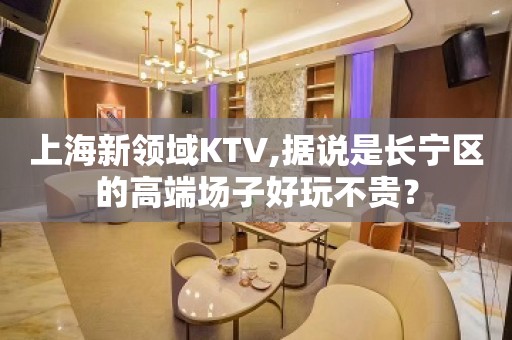 上海新领域KTV,据说是长宁区的高端场子好玩不贵？