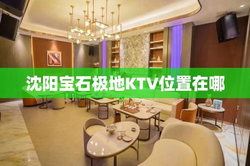 沈阳宝石极地KTV位置在哪