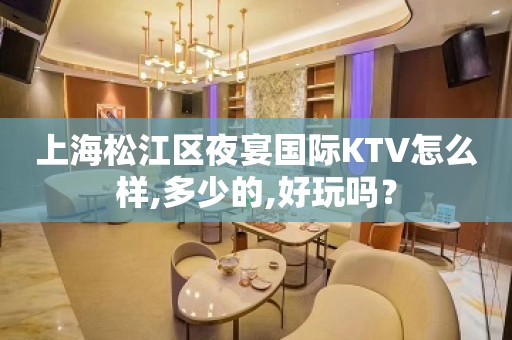 上海松江区夜宴国际KTV怎么样,多少的,好玩吗？