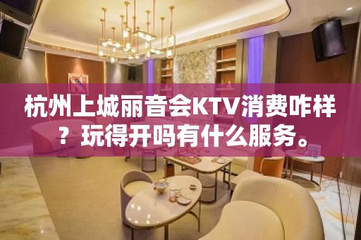 杭州上城丽音会KTV消费咋样？玩得开吗有什么服务。